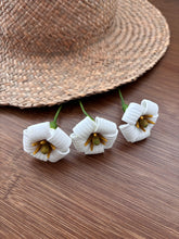 Load image into Gallery viewer, Pua
