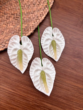 Load image into Gallery viewer, Pua
